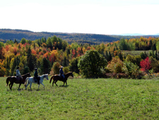 Canada-Quebec-Gaspe Peninsula Ride